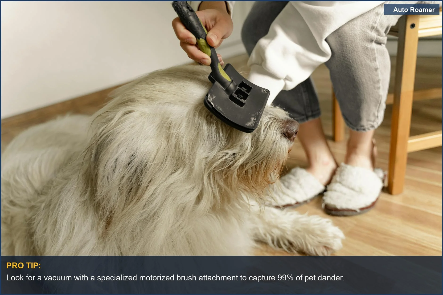 Person grooming a large fluffy dog indoors, showing the connection to handheld vacuums for pet owners.