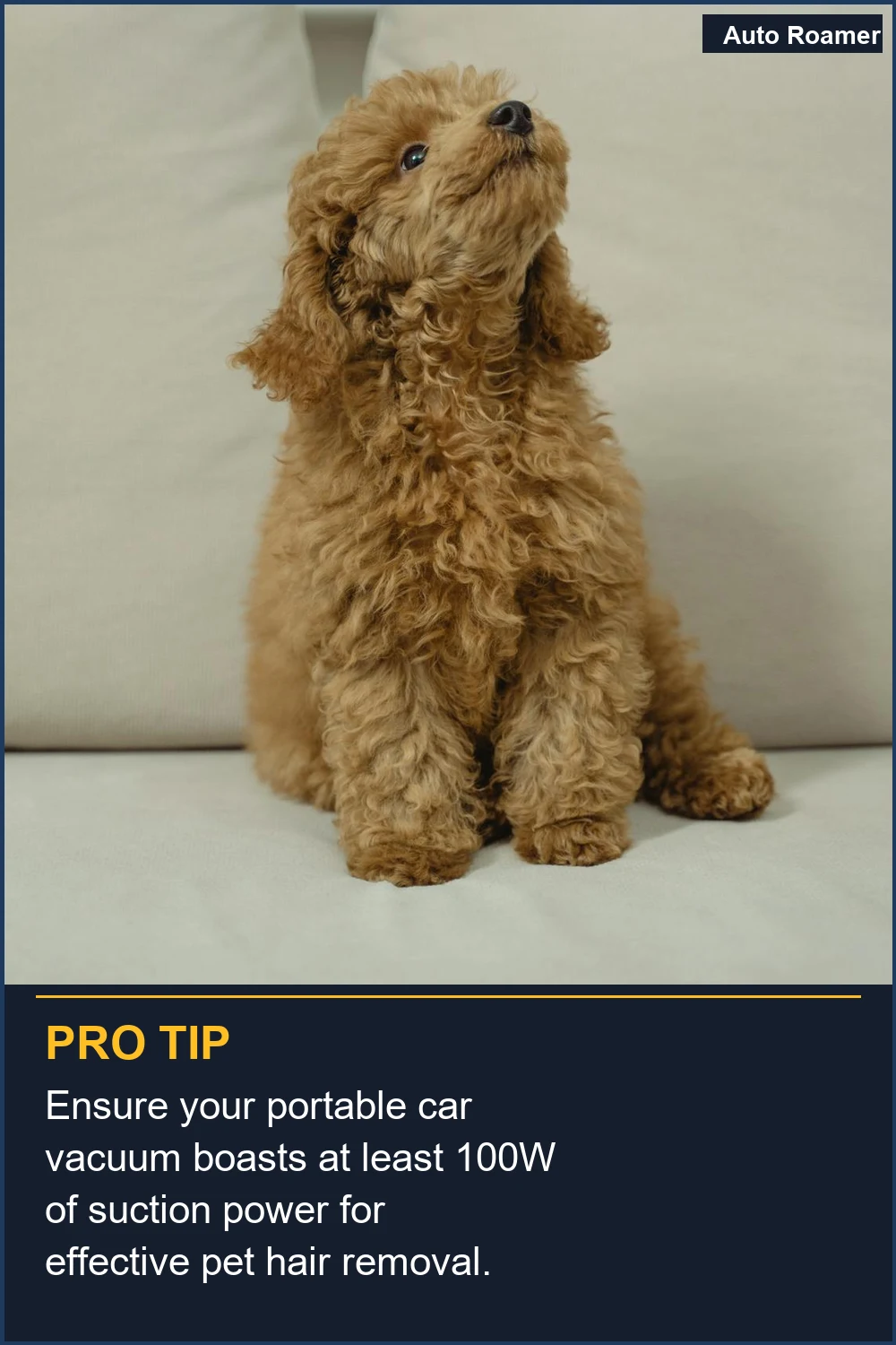 Ensure your portable car vacuum boasts at least 100W of suction power for effective pet hair removal.