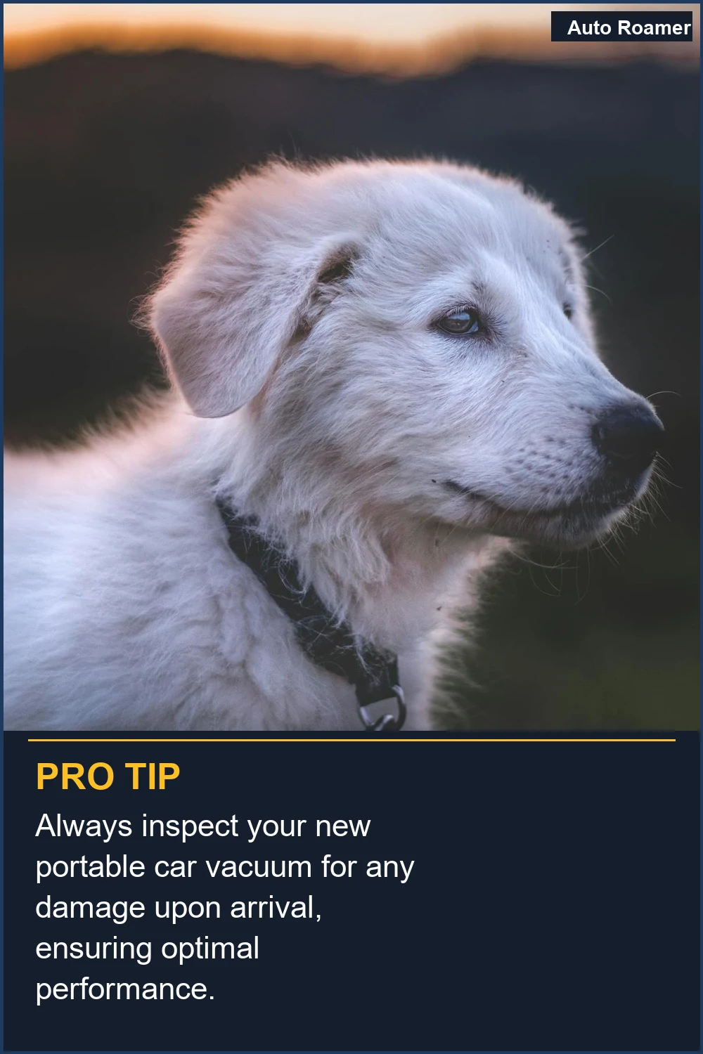 Always inspect your new portable car vacuum for any damage upon arrival, ensuring optimal performance.