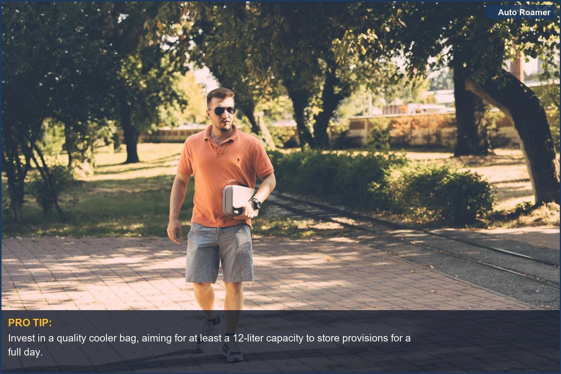 Cooler bag for road trips, ideal for keeping drinks and snacks chilled on sunny park outings.