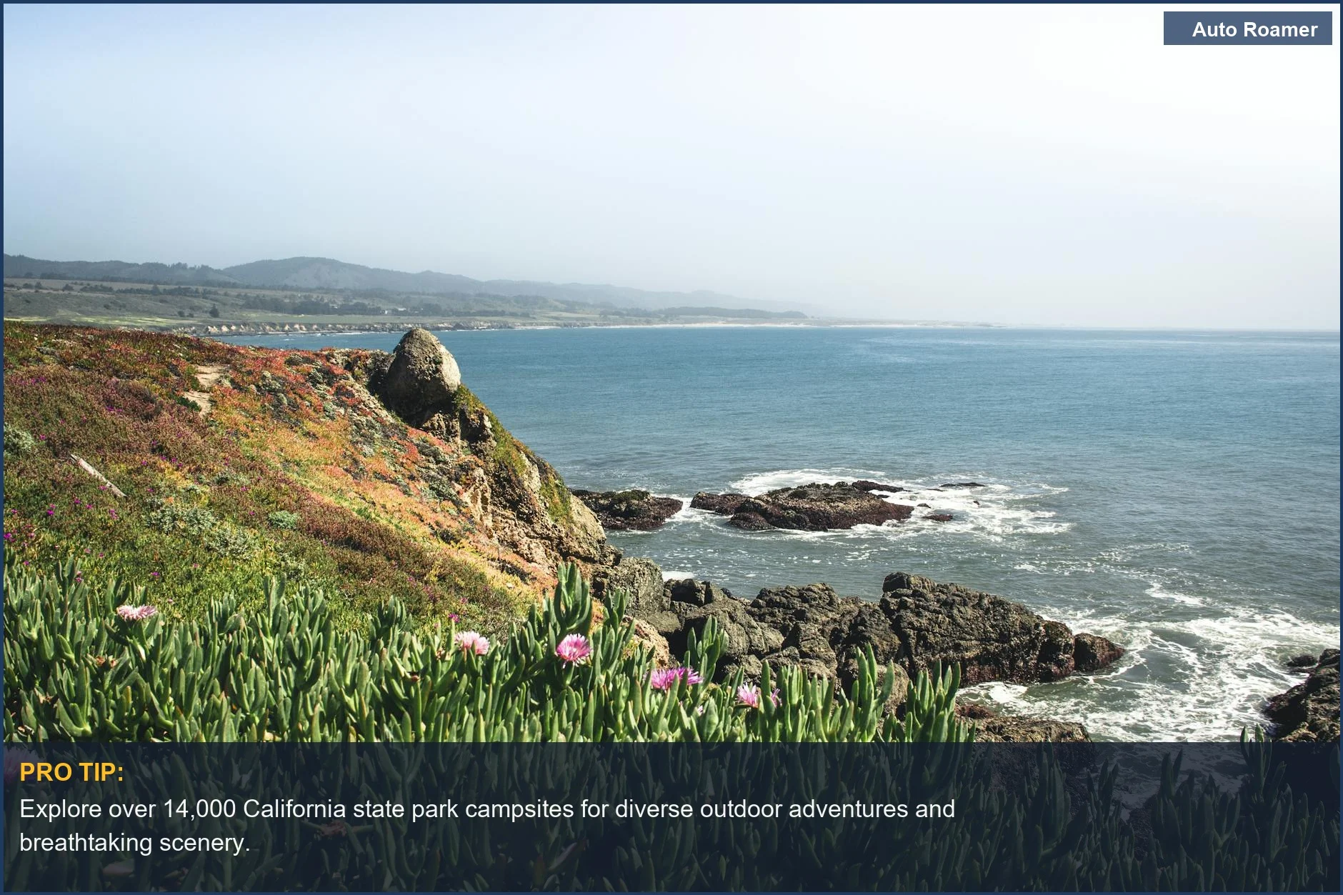 California coastline cliffs and wildflowers offer stunning views for your next camping trip.