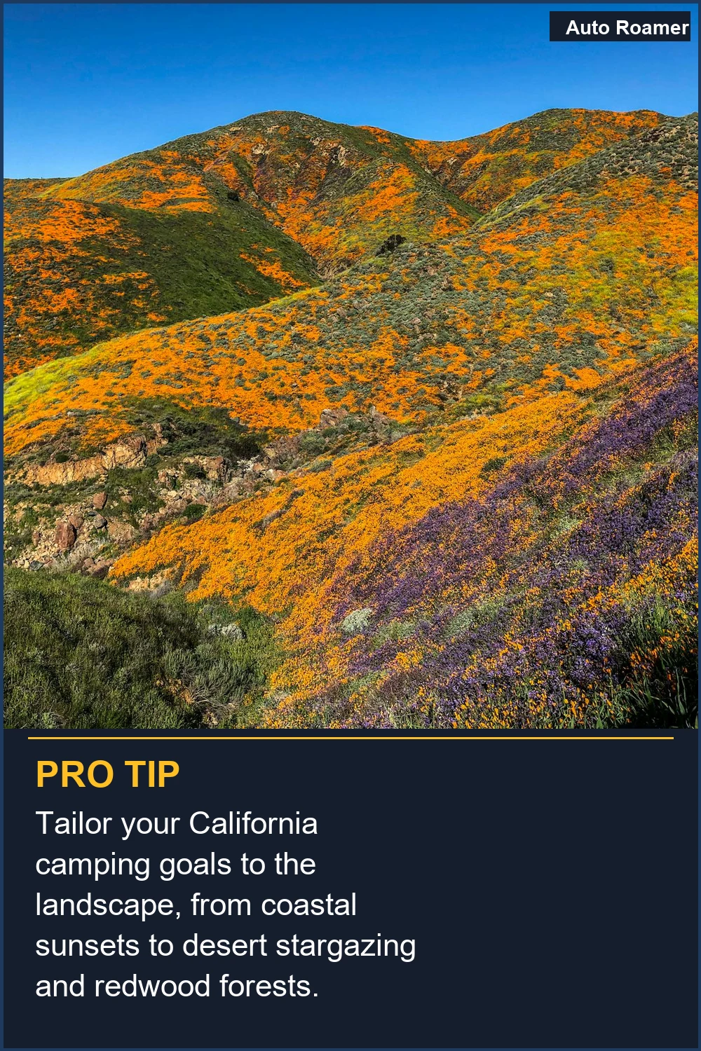 Tailor your California camping goals to the landscape, from coastal sunsets to desert stargazing and redwood forests.