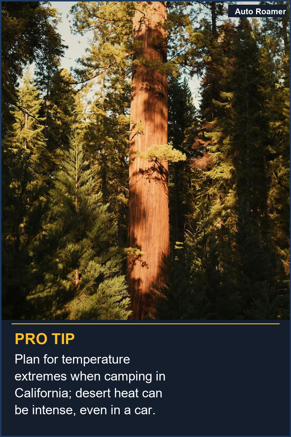 Plan for temperature extremes when camping in California; desert heat can be intense, even in a car.