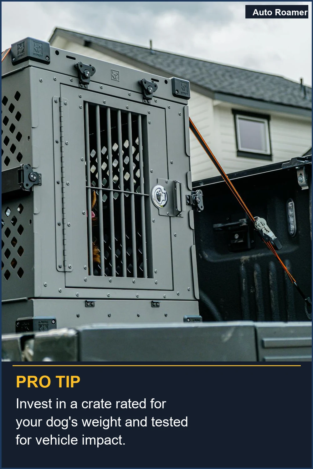 Invest in a crate rated for your dog's weight and tested for vehicle impact.