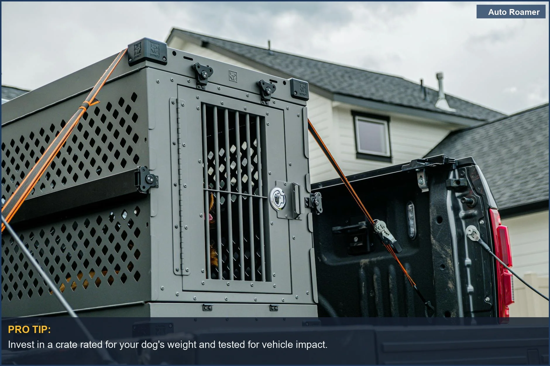 Durable dog crate secured in a truck bed, emphasizing pet safety for legal travel.