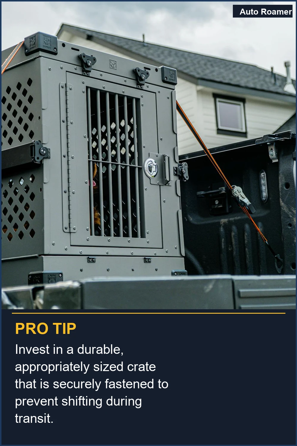 Invest in a durable, appropriately sized crate that is securely fastened to prevent shifting during transit.