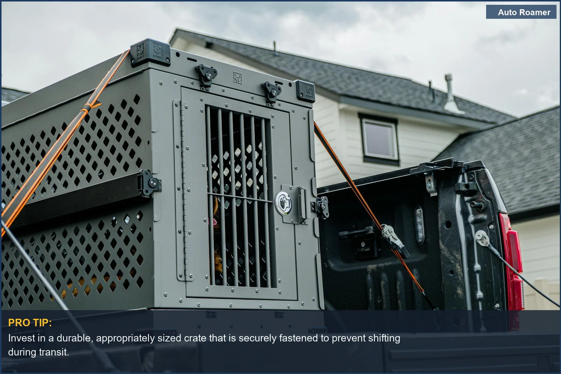 Secure dog crate strapped in a truck bed, demonstrating legal and safe dog transportation methods.