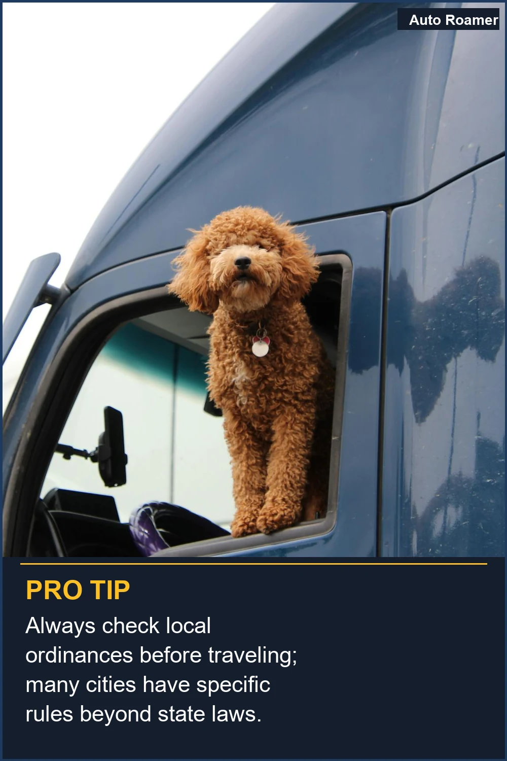 Always check local ordinances before traveling; many cities have specific rules beyond state laws.