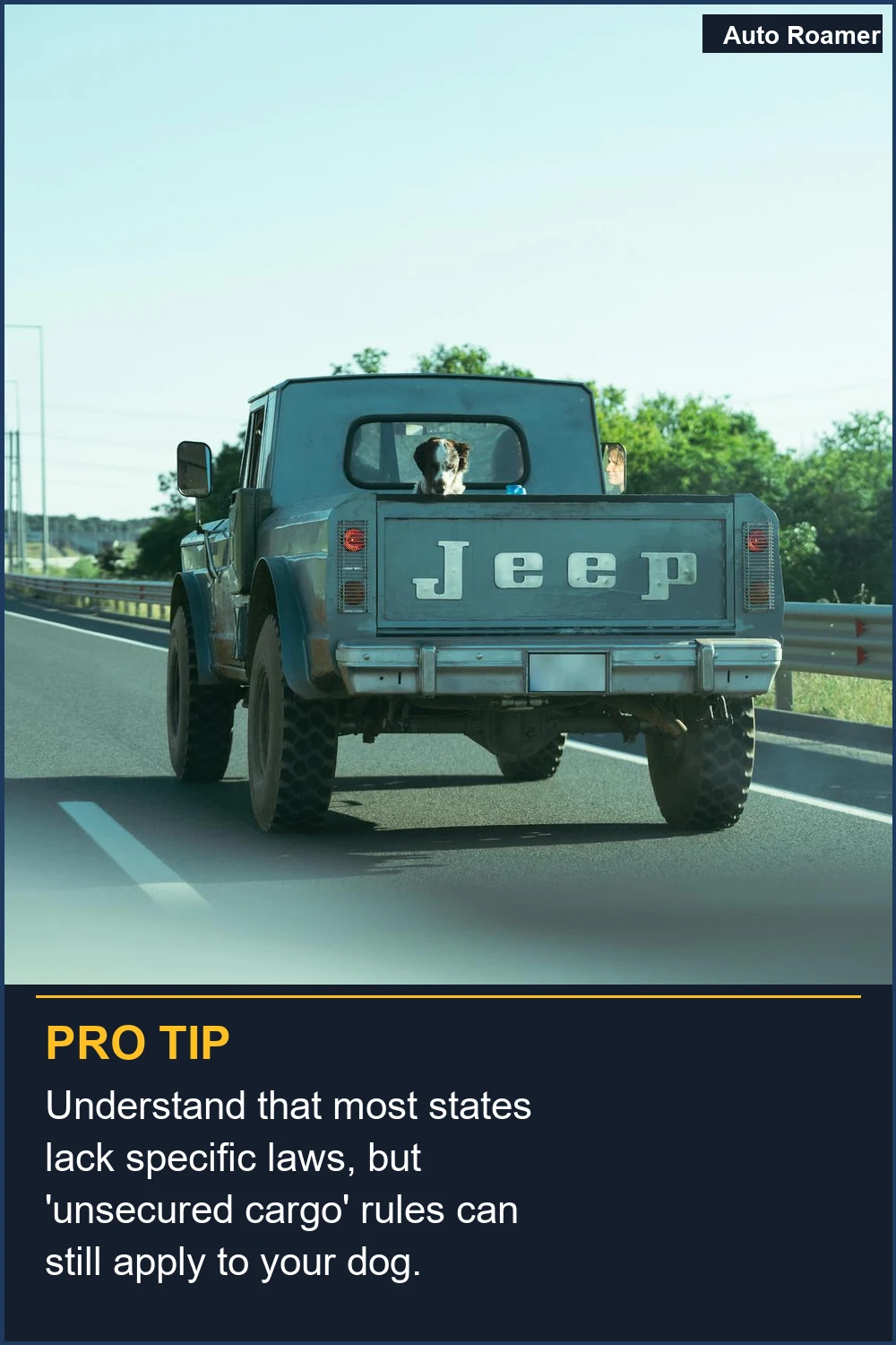 Understand that most states lack specific laws, but 'unsecured cargo' rules can still apply to your dog.