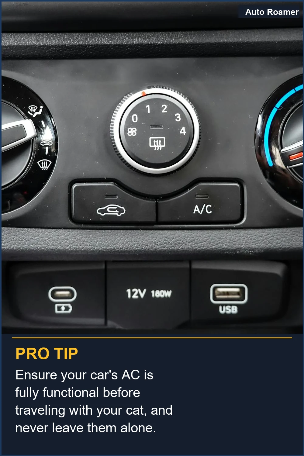 Ensure your car's AC is fully functional before traveling with your cat, and never leave them alone.