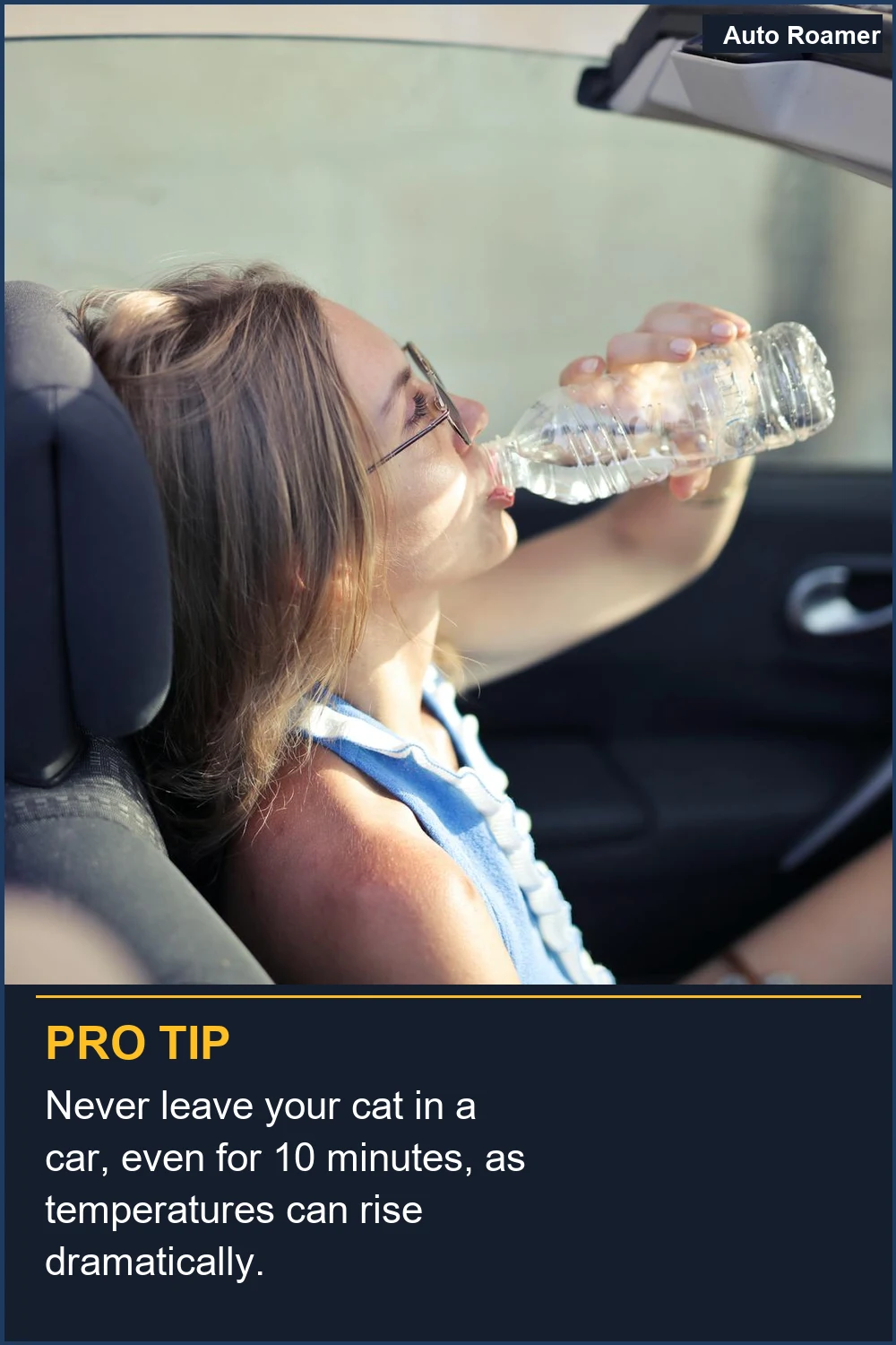 Never leave your cat in a car, even for 10 minutes, as temperatures can rise dramatically.