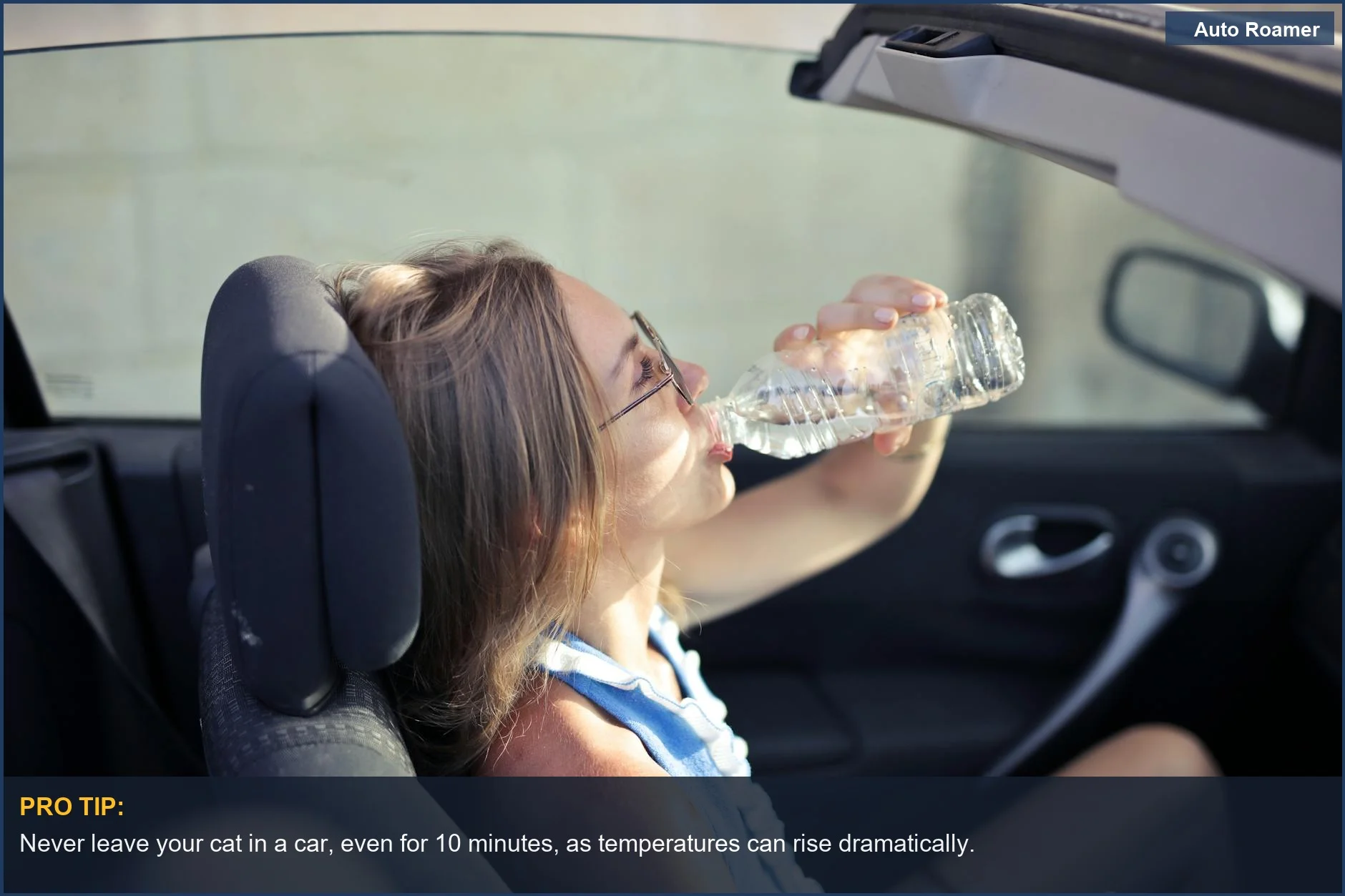 Woman in car during hot day, illustrating dangers of leaving pets unattended.