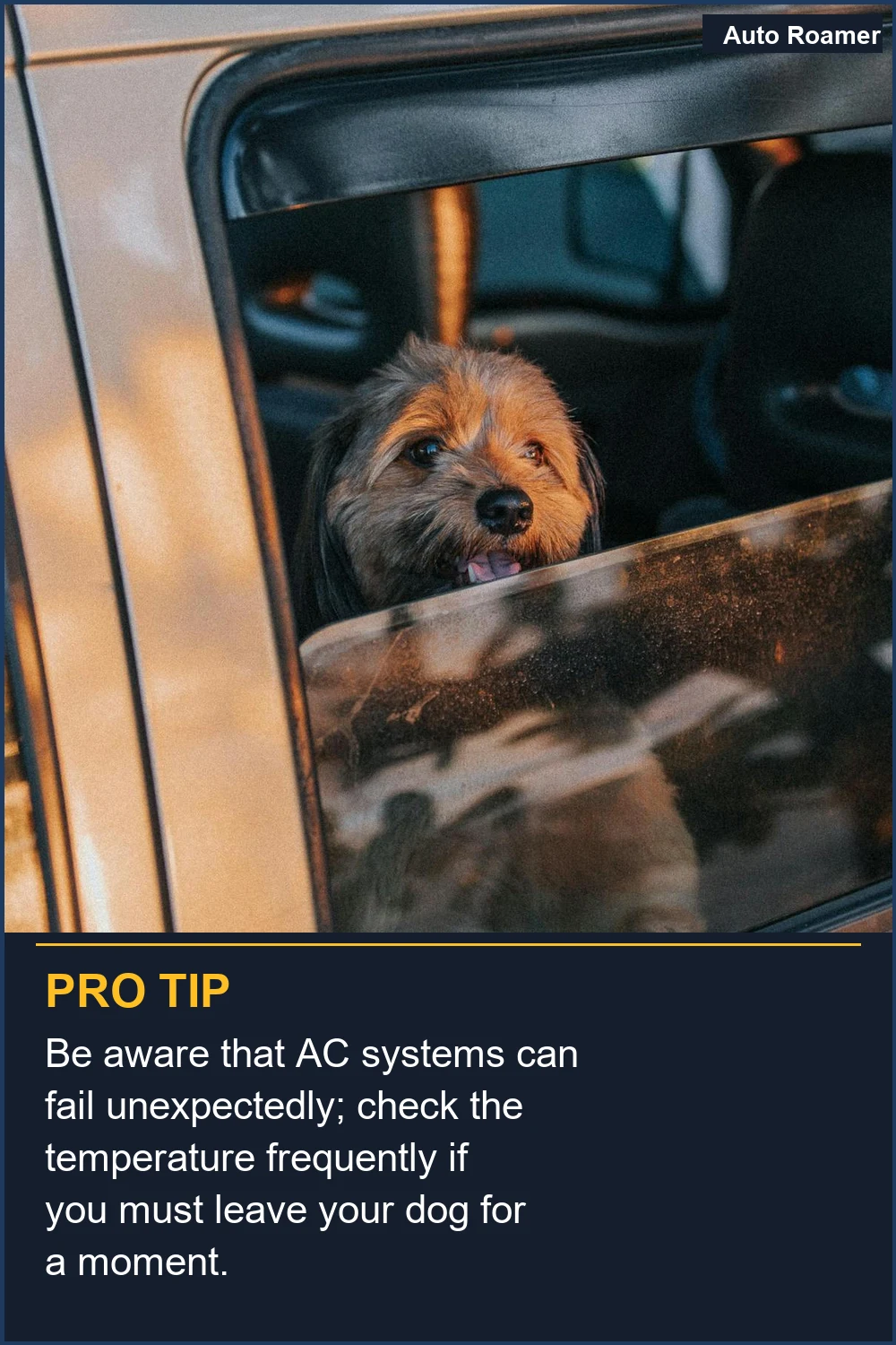 Be aware that AC systems can fail unexpectedly; check the temperature frequently if you must leave your dog for a moment.