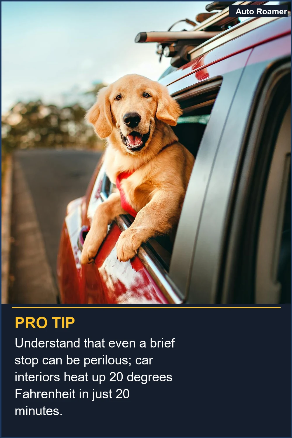 Understand that even a brief stop can be perilous; car interiors heat up 20 degrees Fahrenheit in just 20 minutes.