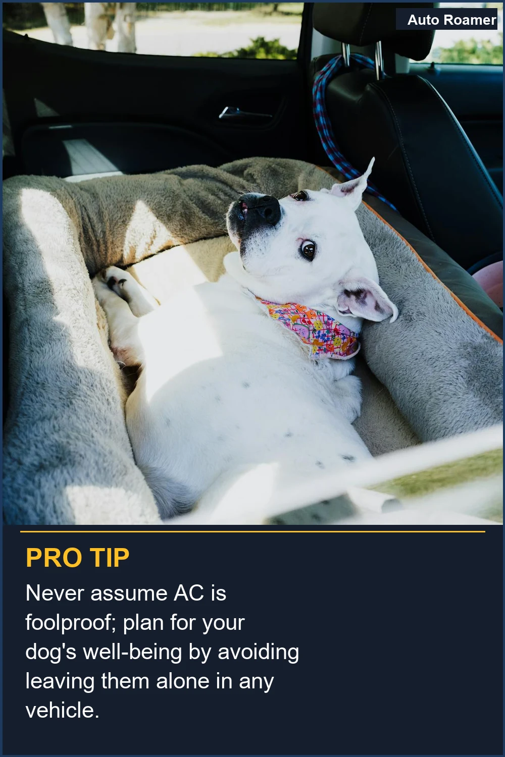 Never assume AC is foolproof; plan for your dog's well-being by avoiding leaving them alone in any vehicle.