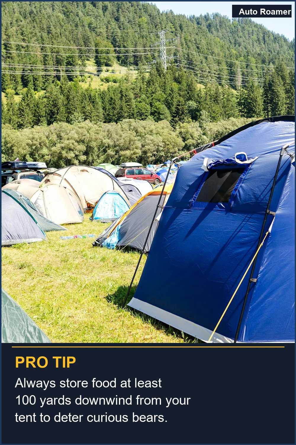 Always store food at least 100 yards downwind from your tent to deter curious bears.