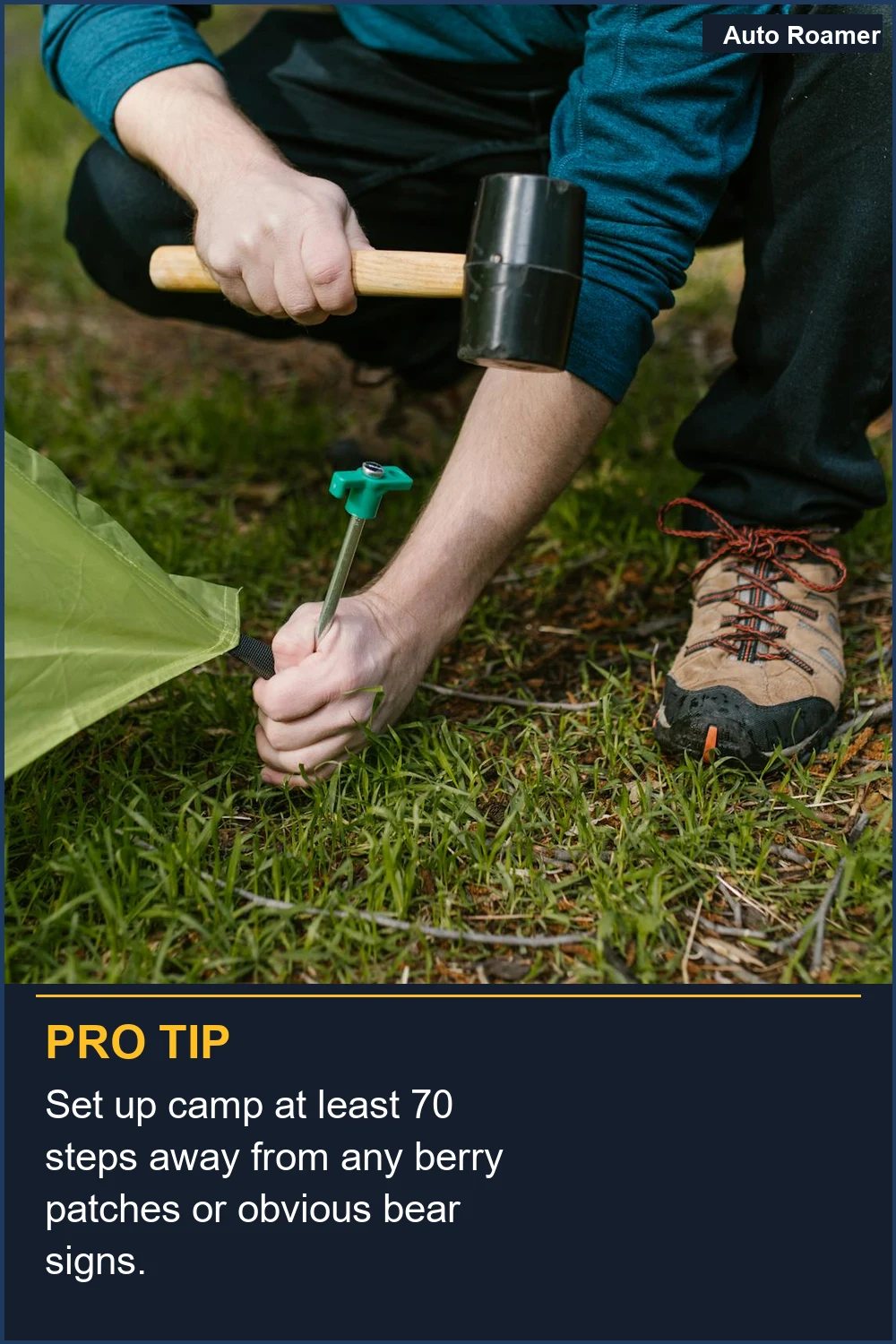 Set up camp at least 70 steps away from any berry patches or obvious bear signs.