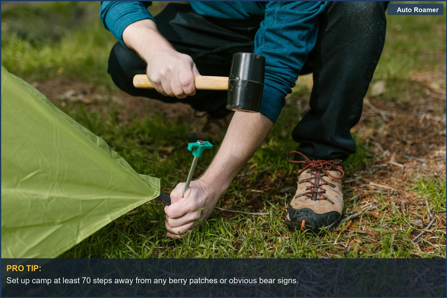 Close-up of hammering a tent peg, demonstrating preparation for safe car camping bear country.