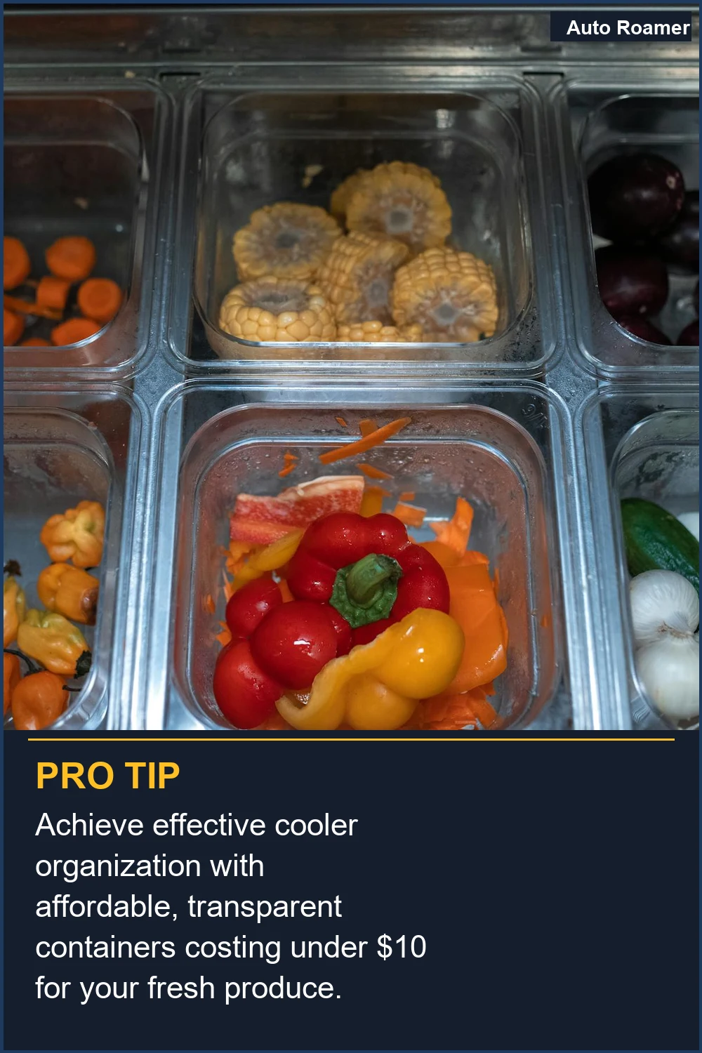 Achieve effective cooler organization with affordable, transparent containers costing under $10 for your fresh produce.