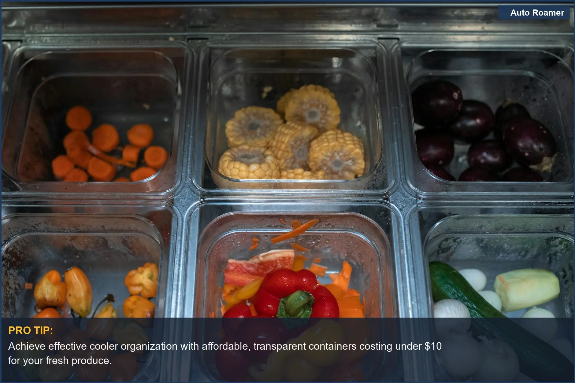 Colorful vegetables like peppers and carrots in transparent containers for smart cooler organization.