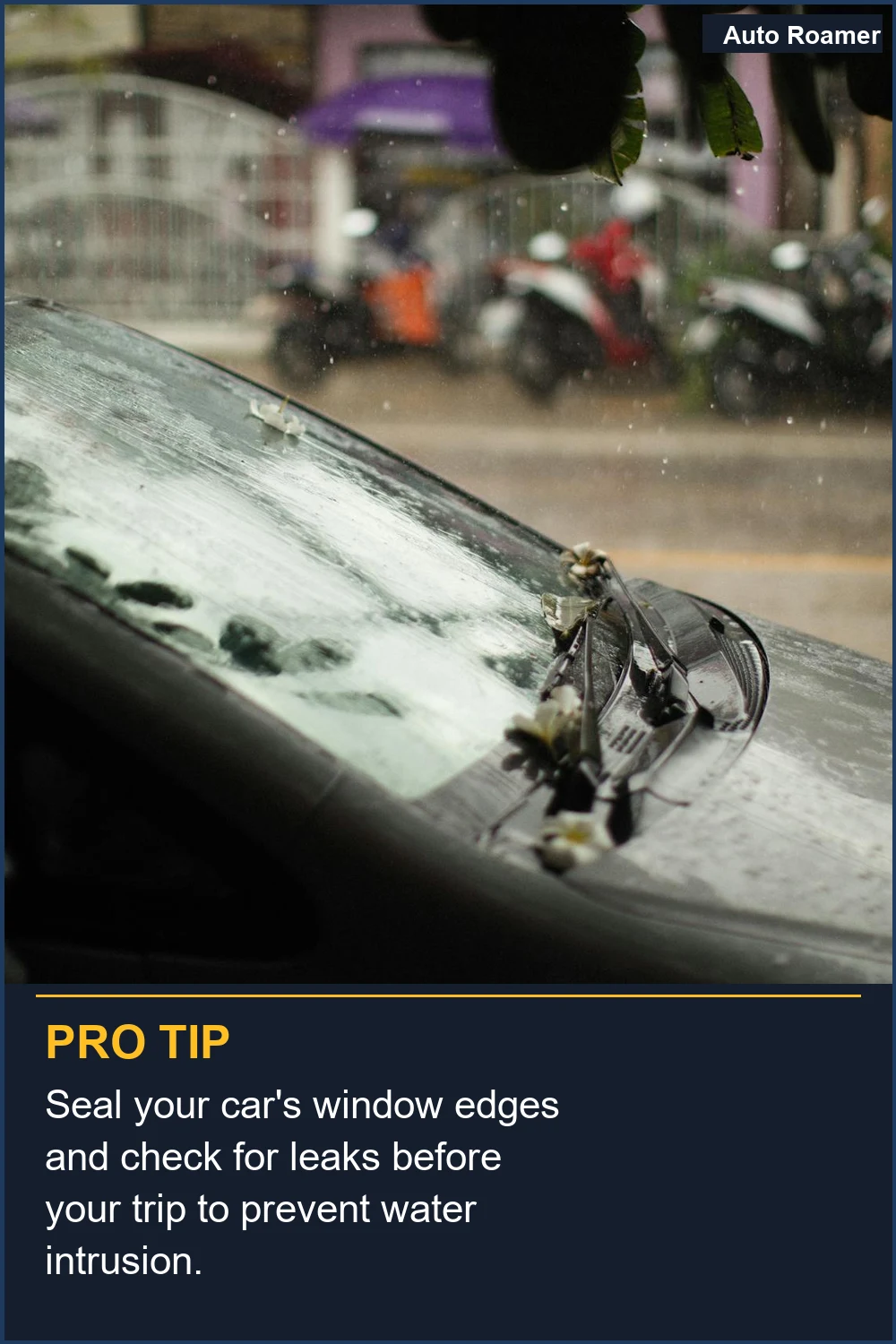 Seal your car's window edges and check for leaks before your trip to prevent water intrusion.