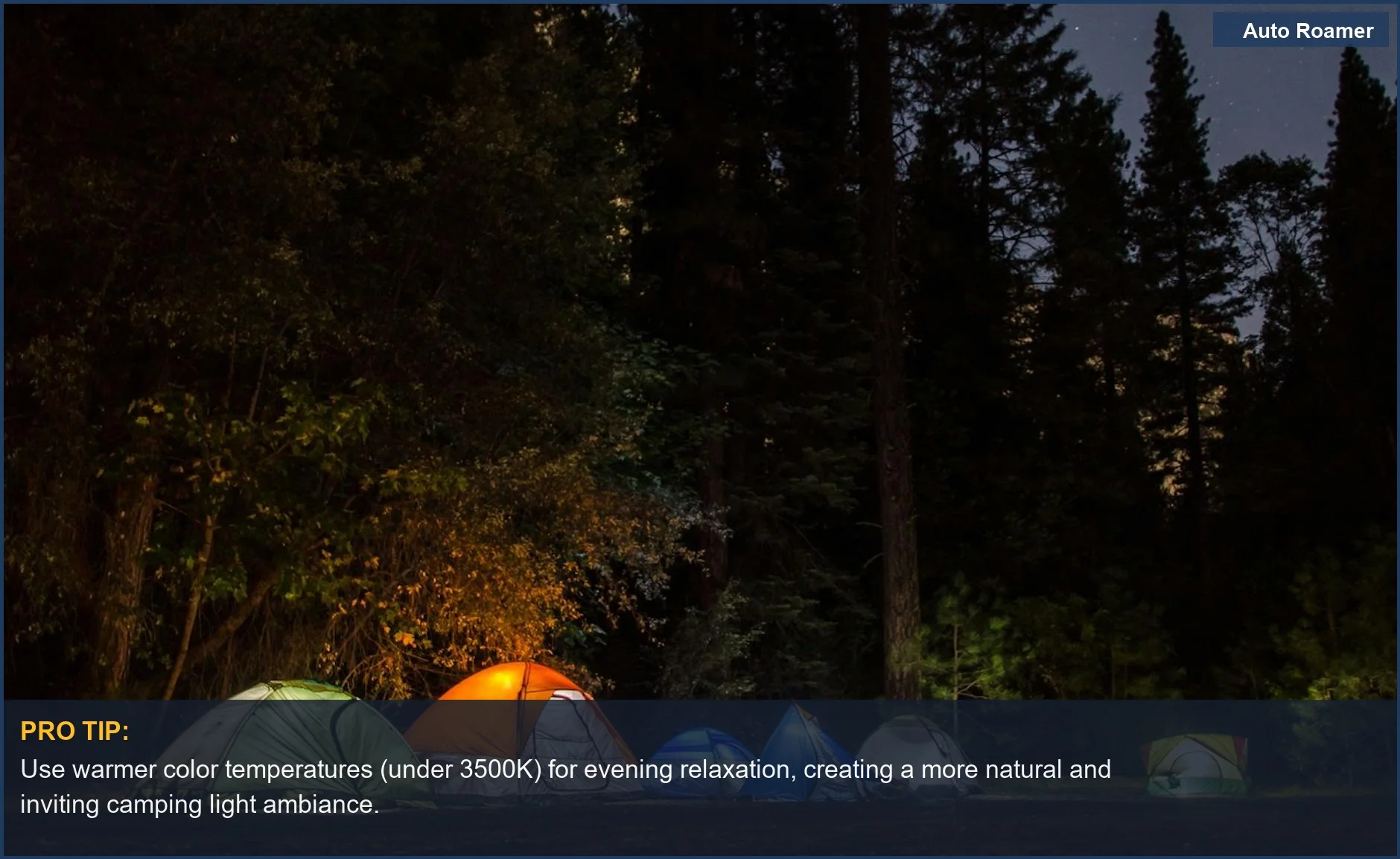 Peaceful forest campsite with illuminated tents under a starry night sky, perfect for camping light ambiance.