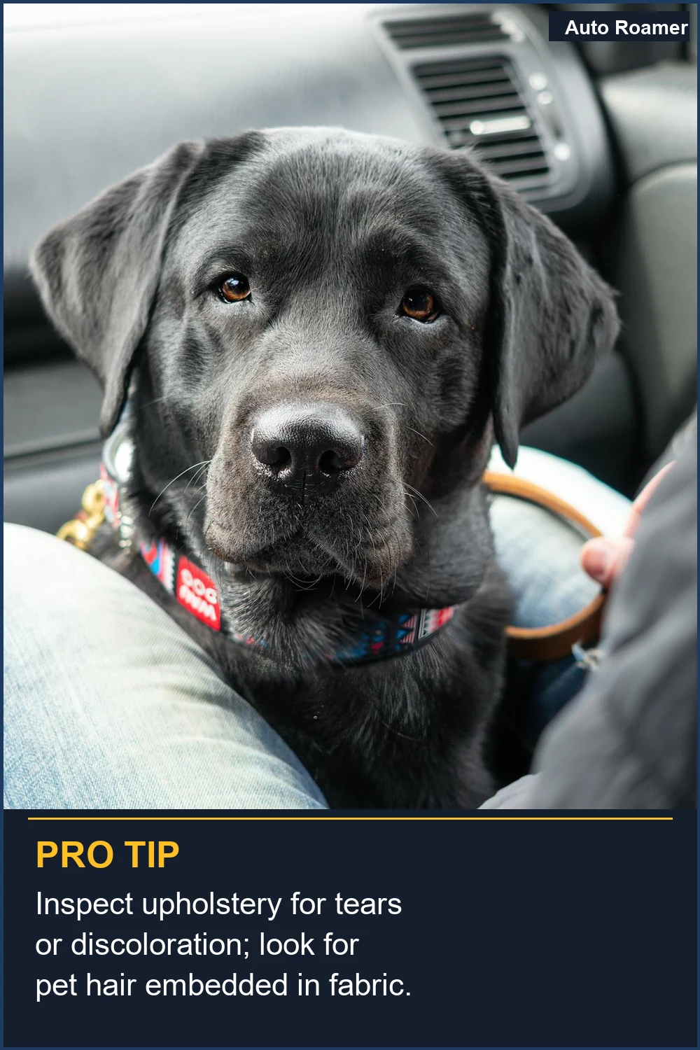 Inspect upholstery for tears or discoloration; look for pet hair embedded in fabric.