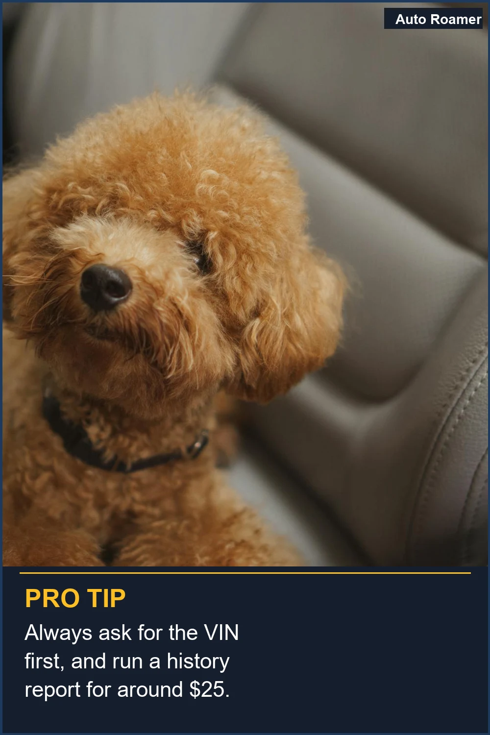 Always ask for the VIN first, and run a history report for around $25.