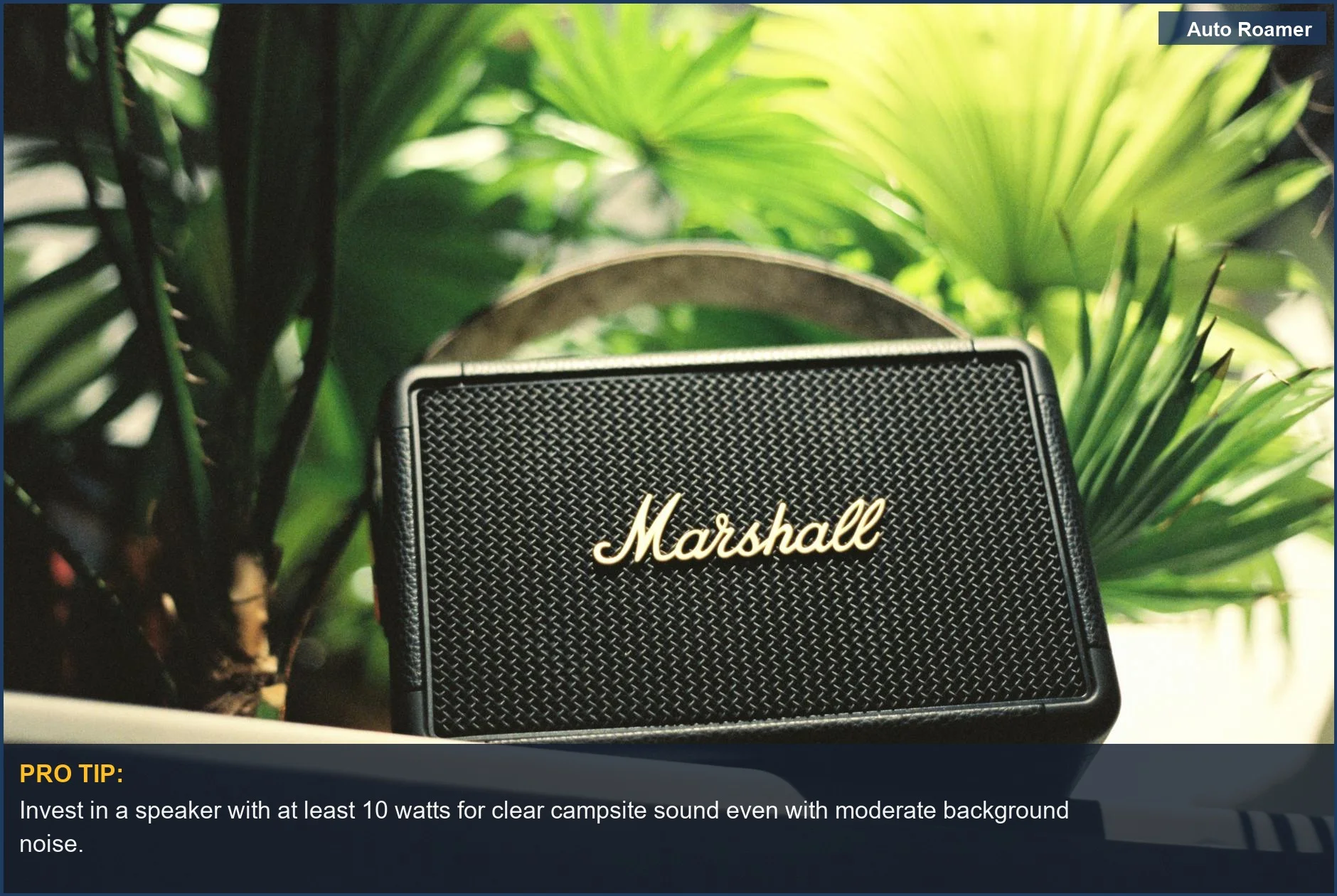 Sleek black Marshall speaker nestled among vibrant green foliage at a campsite.