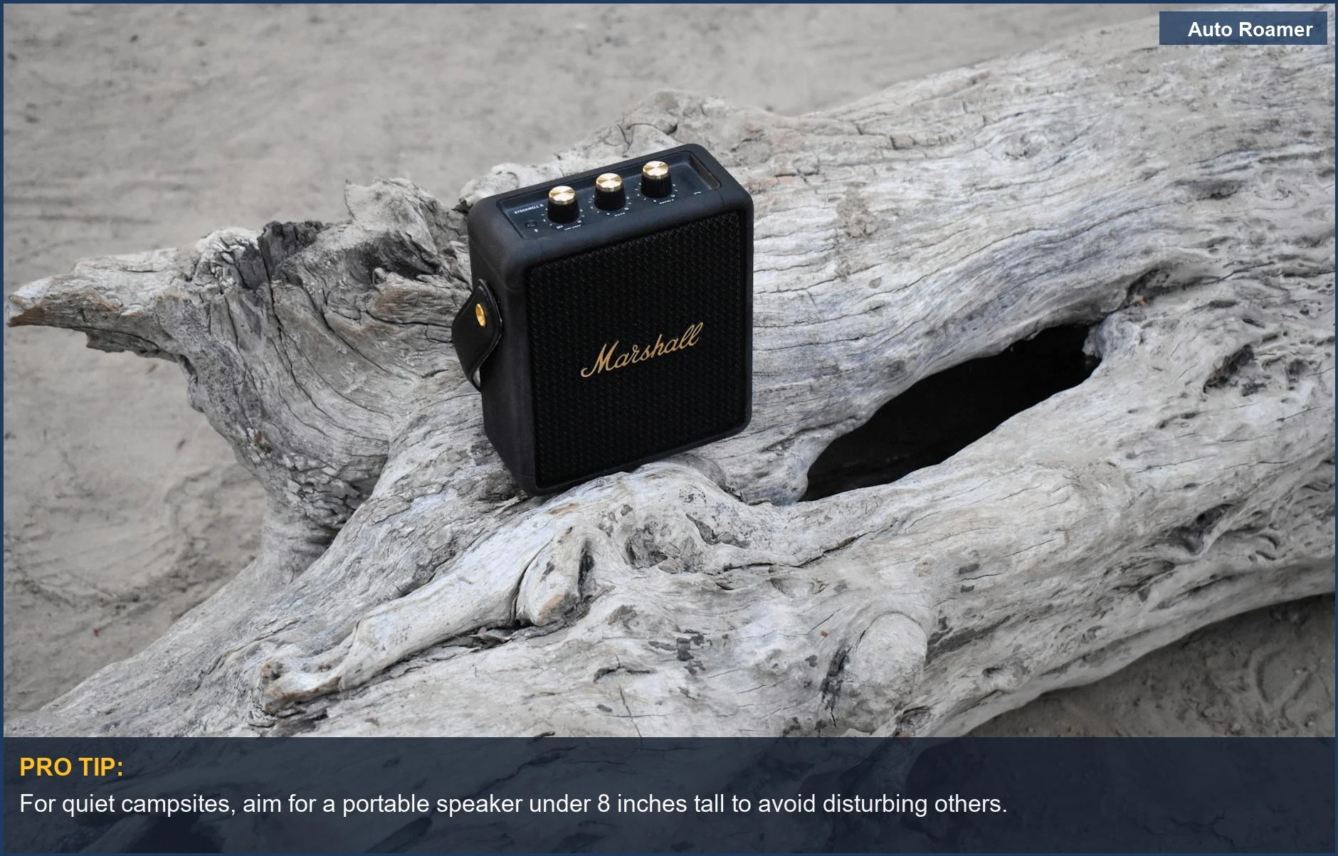 Compact black portable speaker on driftwood, ideal for small campsite gatherings and intimate music.