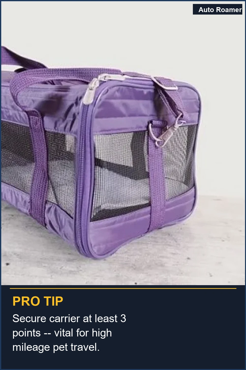Secure carrier at least 3 points -- vital for high mileage pet travel.