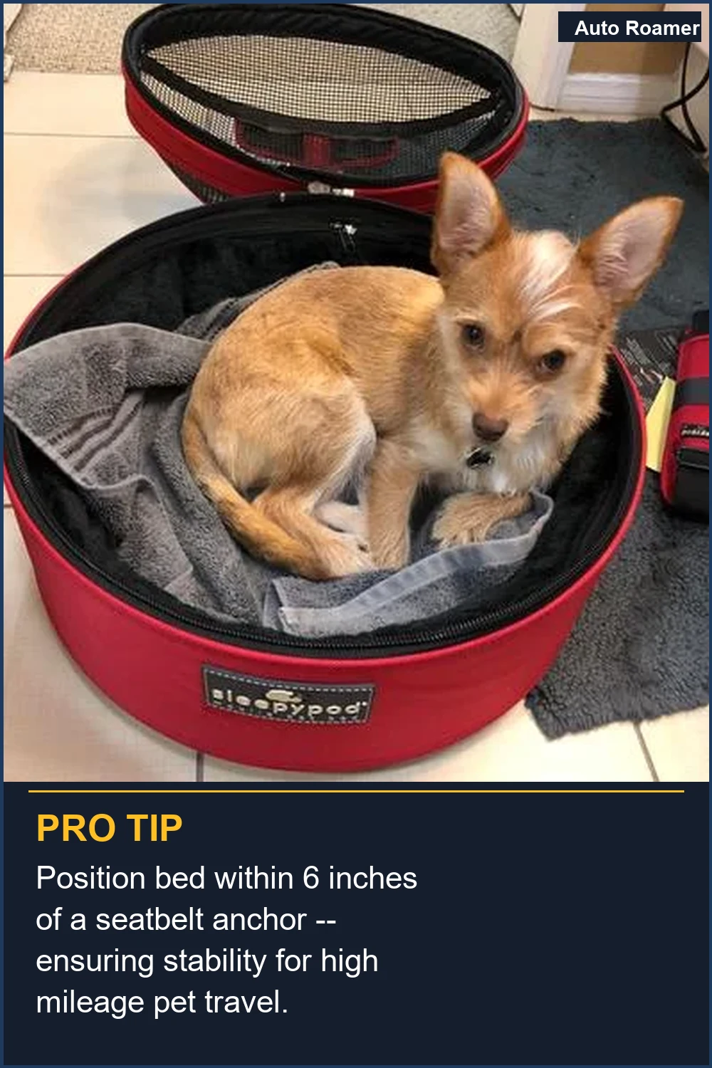 Position bed within 6 inches of a seatbelt anchor -- ensuring stability for high mileage pet travel.