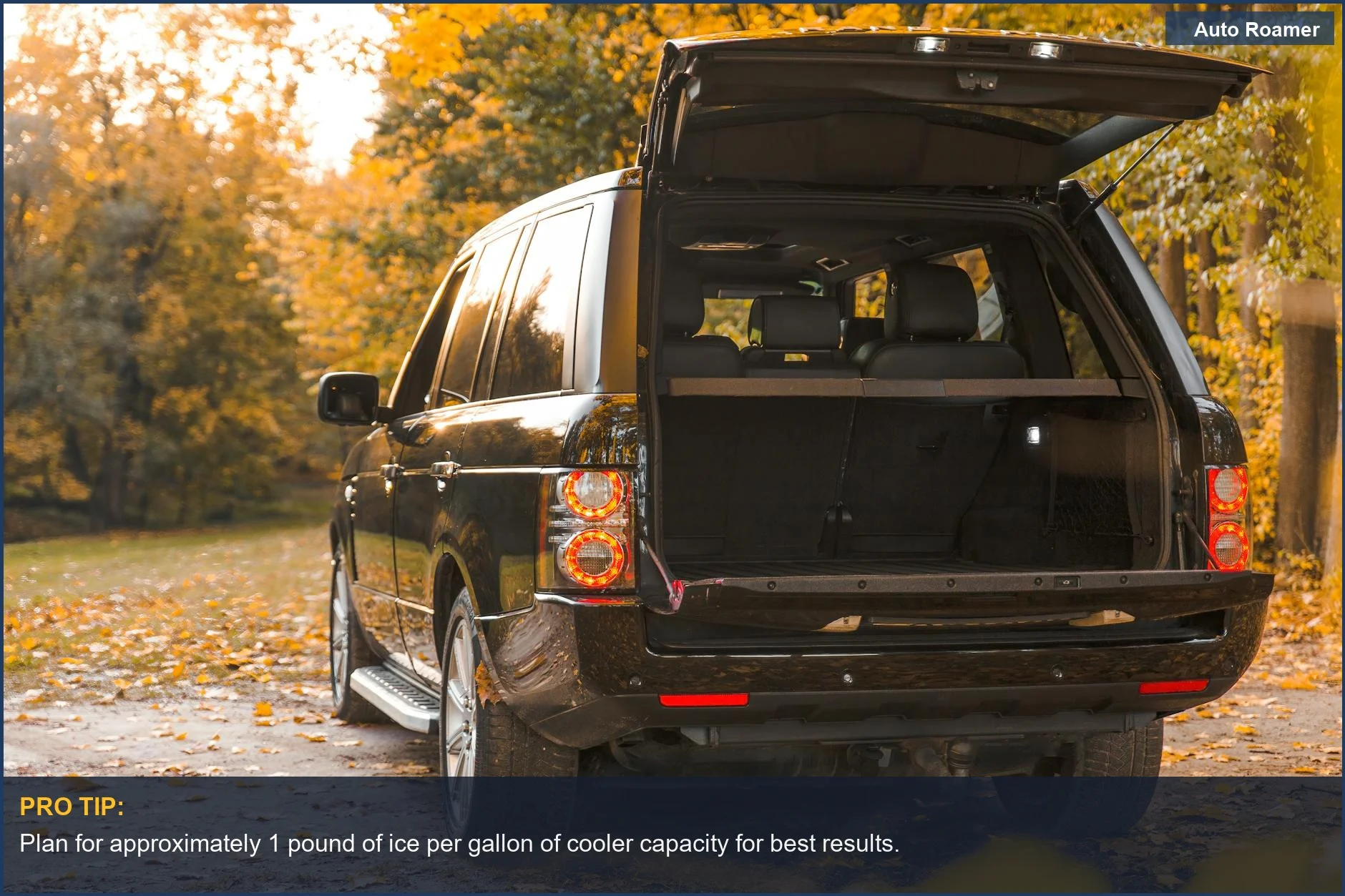 Autumn forest scene with an SUV's open trunk, highlighting car camping cooler size considerations.