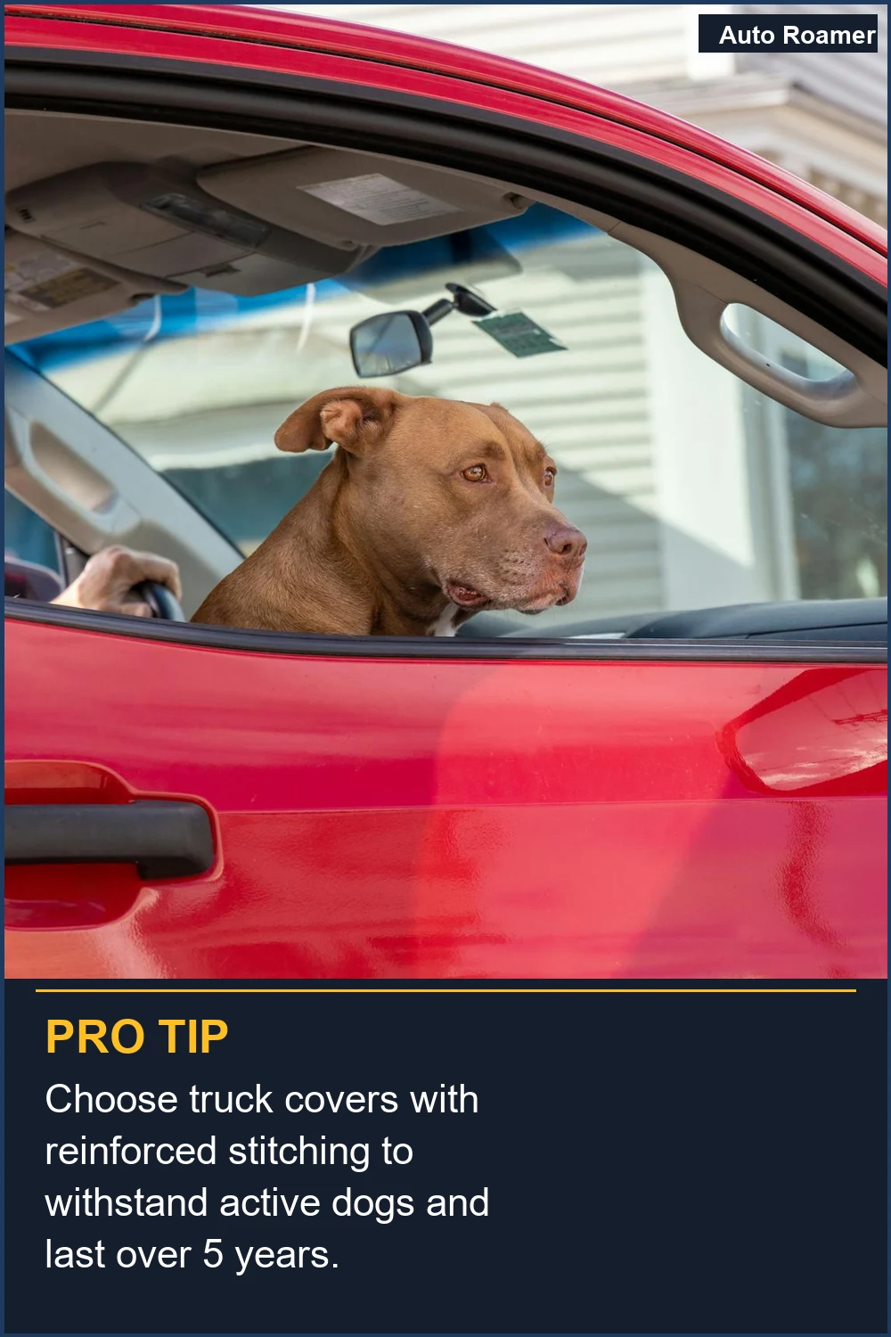 Choose truck covers with reinforced stitching to withstand active dogs and last over 5 years.