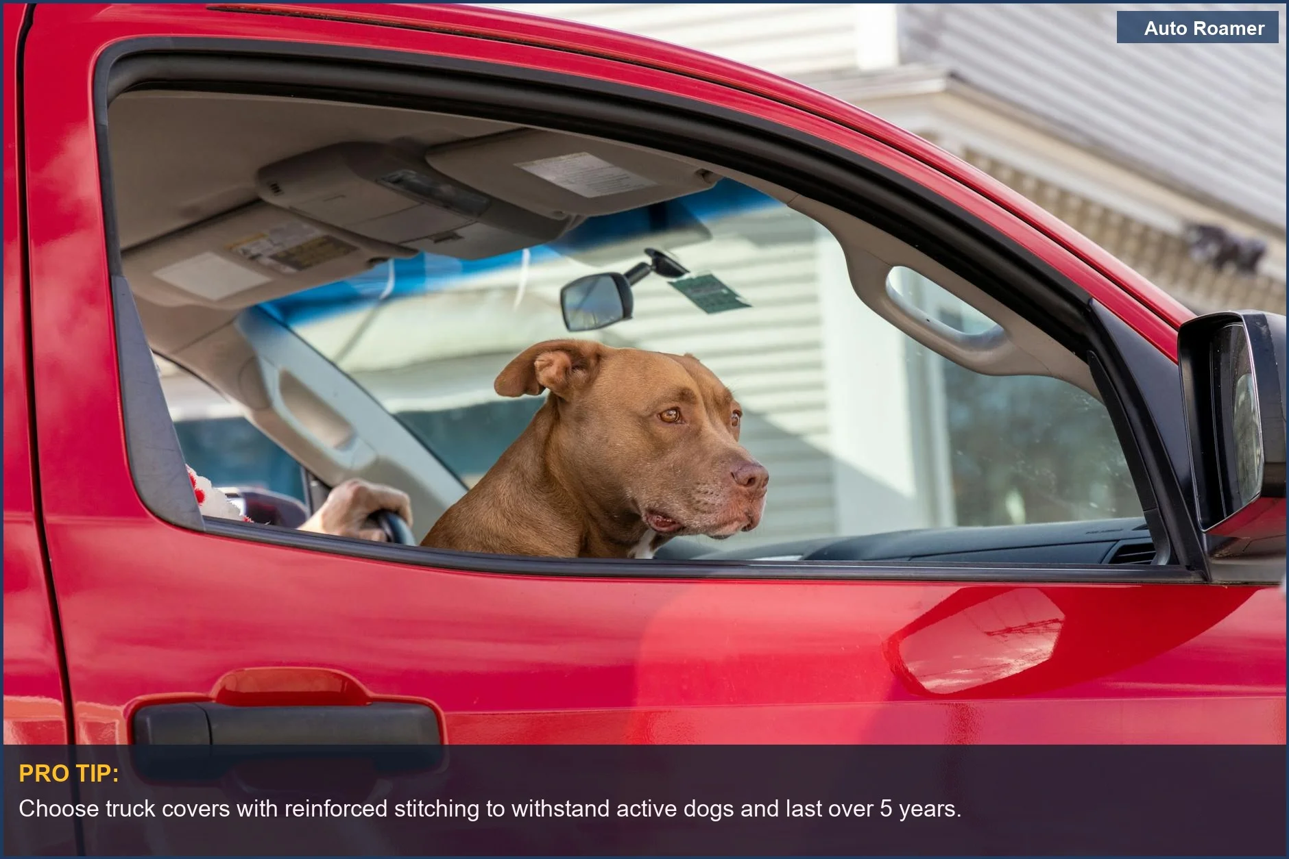 Curious dog in a red truck cab, highlighting the importance of the right car protection for trucks.