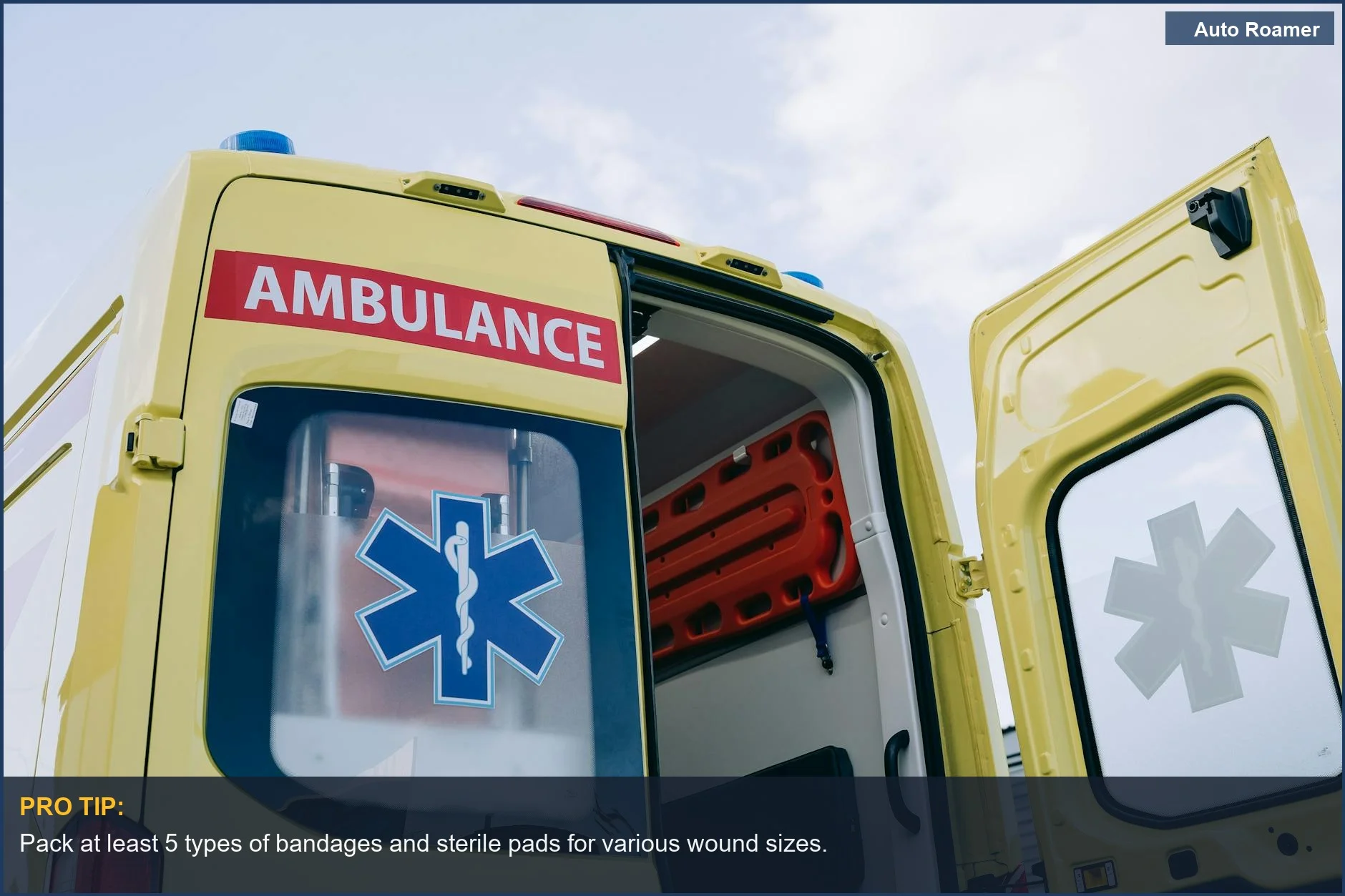 Interior de ambulancia amarilla con equipo médico, lista para emergencias de mascotas en movimiento.