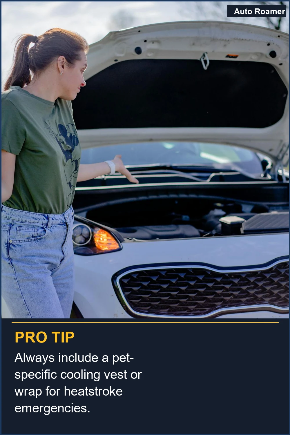 Incluye siempre un chaleco o manta de enfriamiento específico para mascotas para emergencias por golpe de calor.