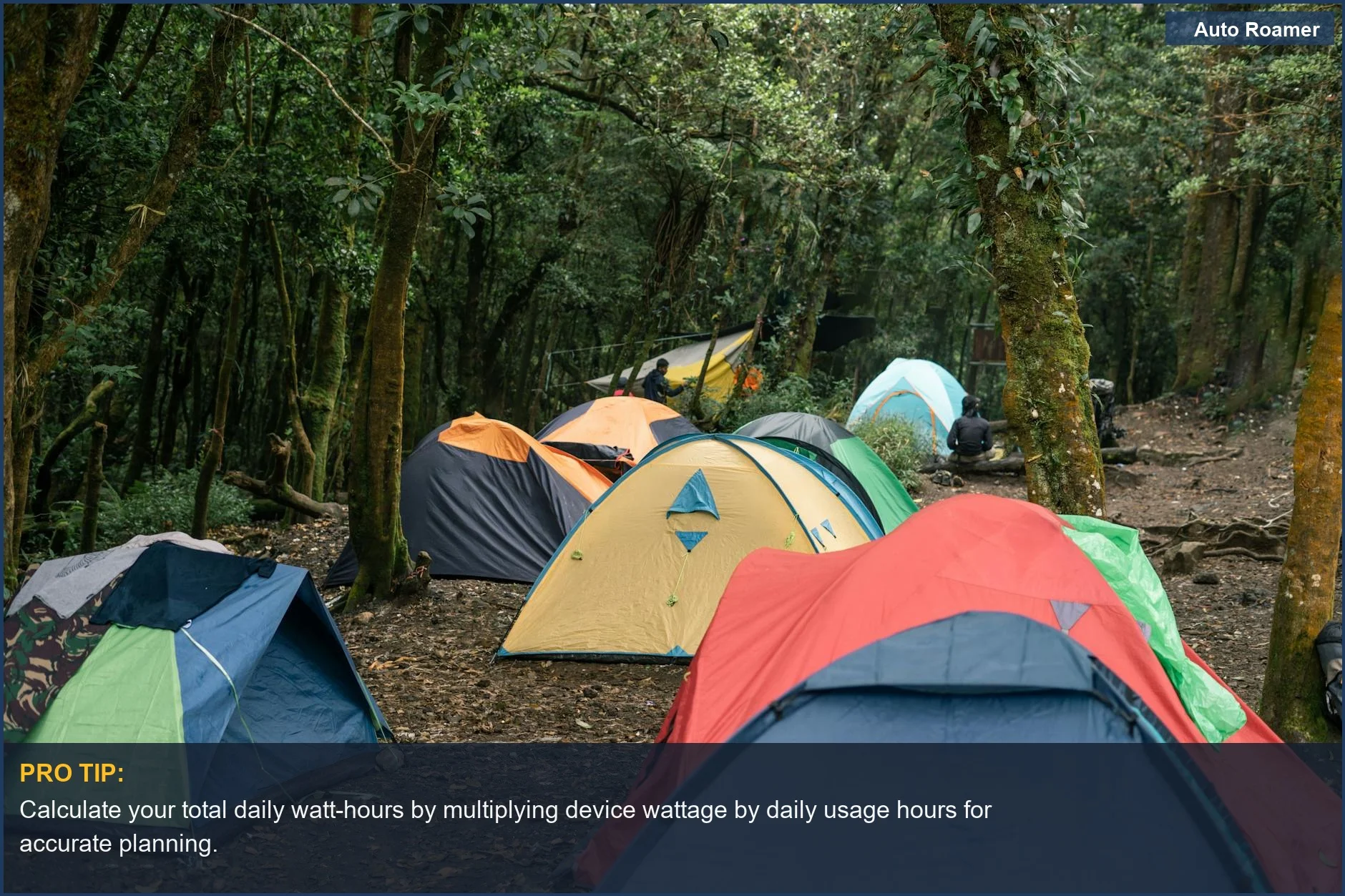 Serene forest campsite with colorful tents amongst tall trees, ideal for extended car camping power.