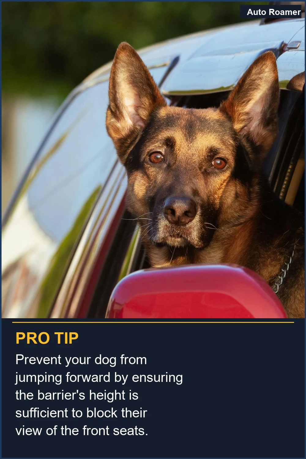 Prevent your dog from jumping forward by ensuring the barrier's height is sufficient to block their view of the front seats.