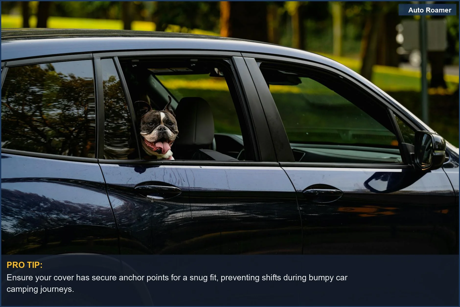 Boston Terrier peeking out a car window, illustrating the necessity of a waterproof dog seat cover for active pets.