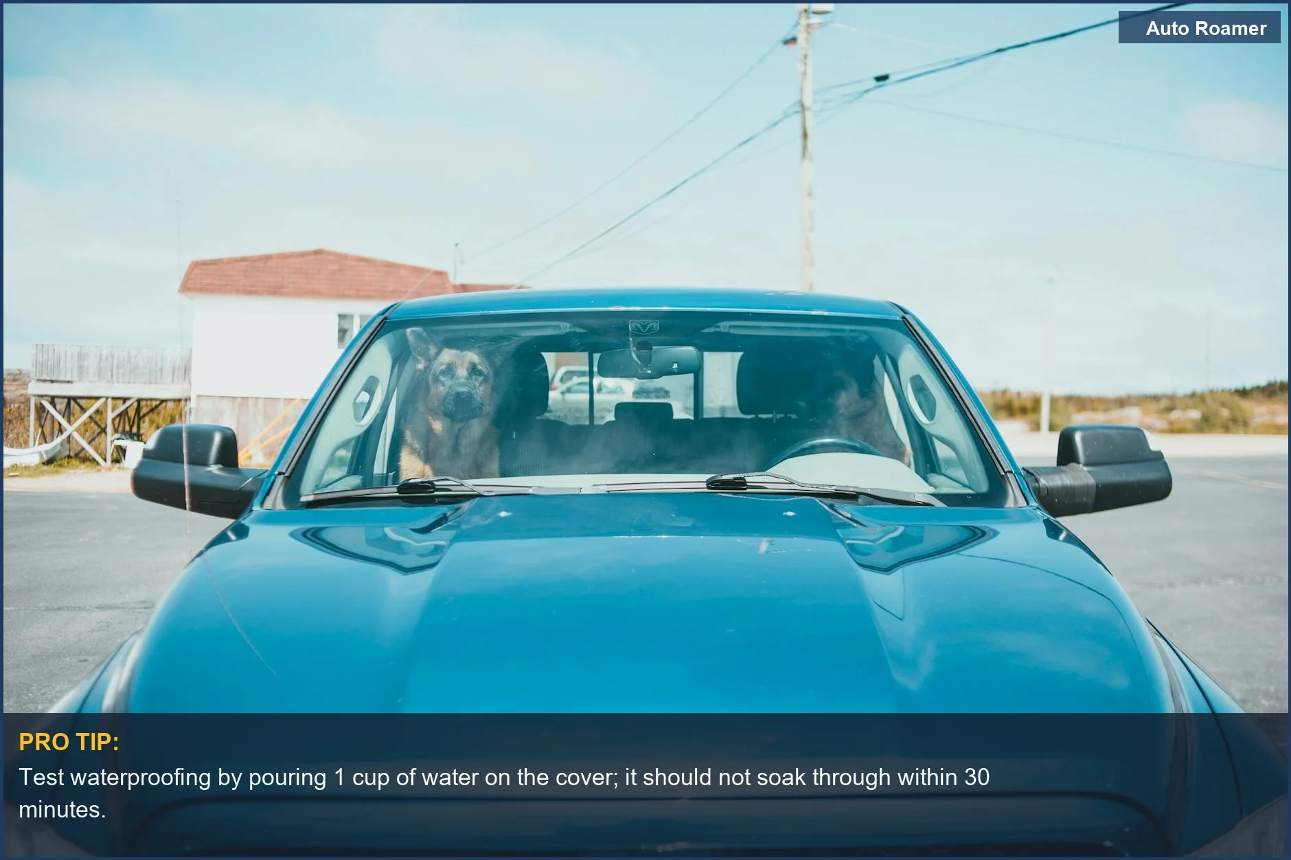 Blue car interior with happy dog, showcasing the need for a reliable dog seat cover for car camping.
