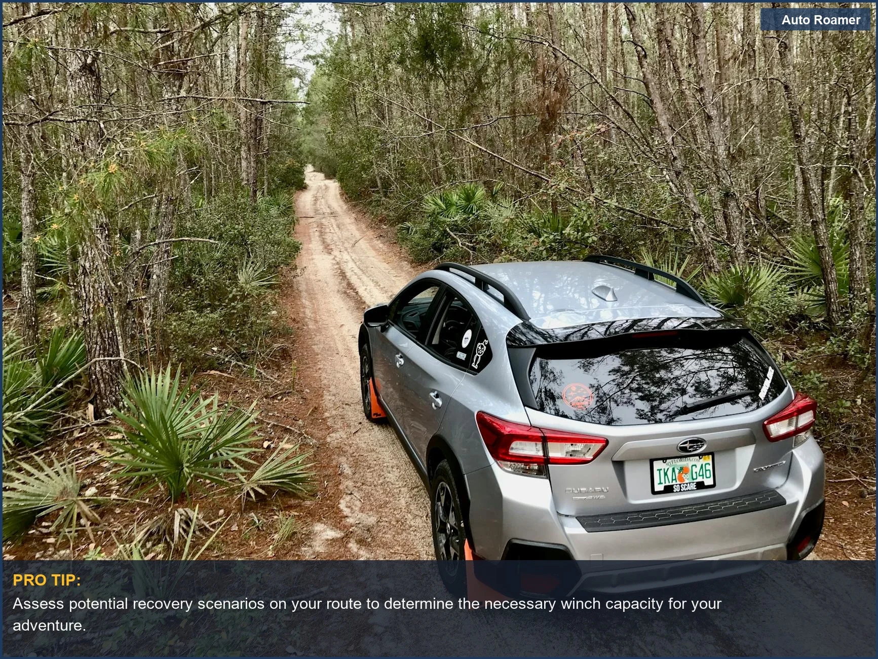 Silver SUV navigating a narrow forest trail, highlighting the importance of a reliable camping winch capacity for exploration.