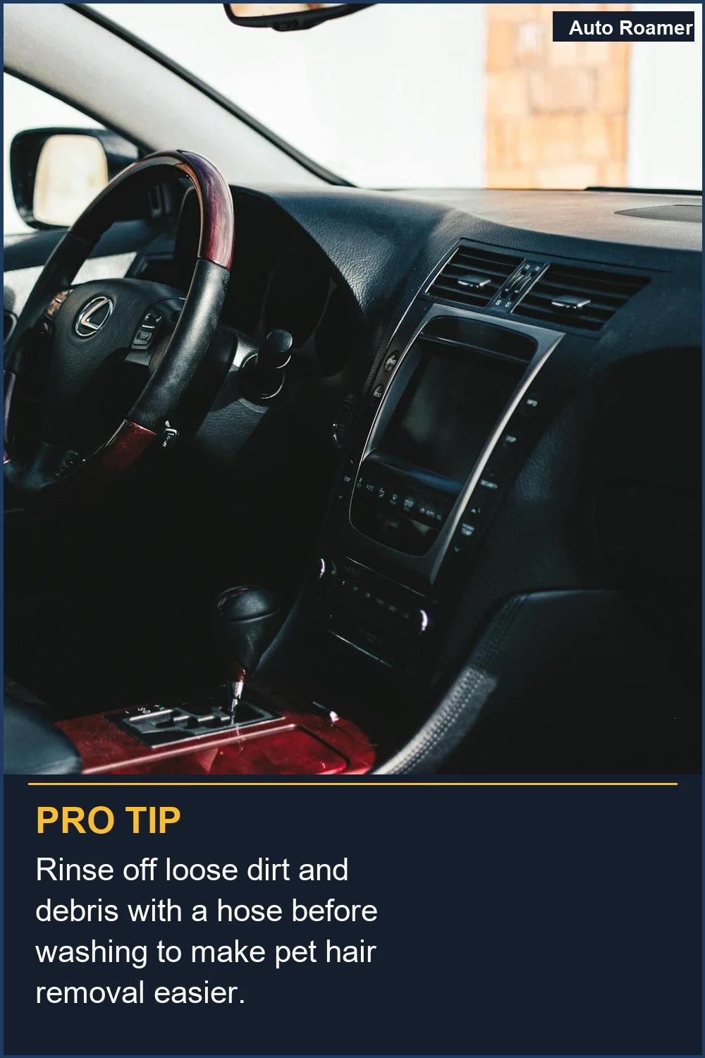 Rinse off loose dirt and debris with a hose before washing to make pet hair removal easier.