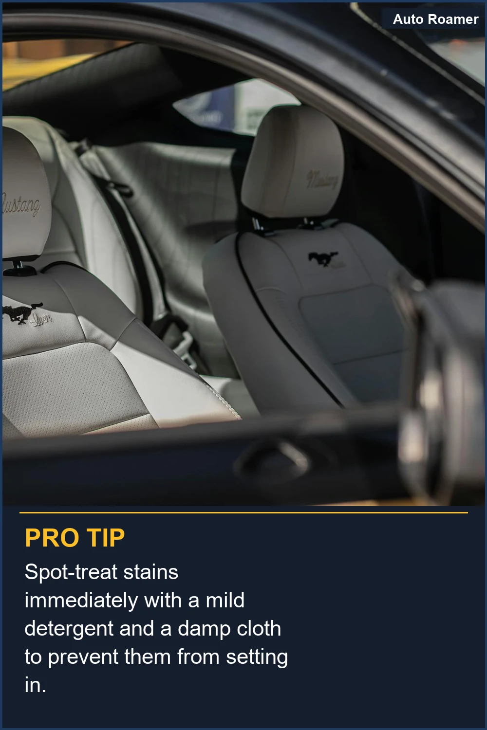 Spot-treat stains immediately with a mild detergent and a damp cloth to prevent them from setting in.