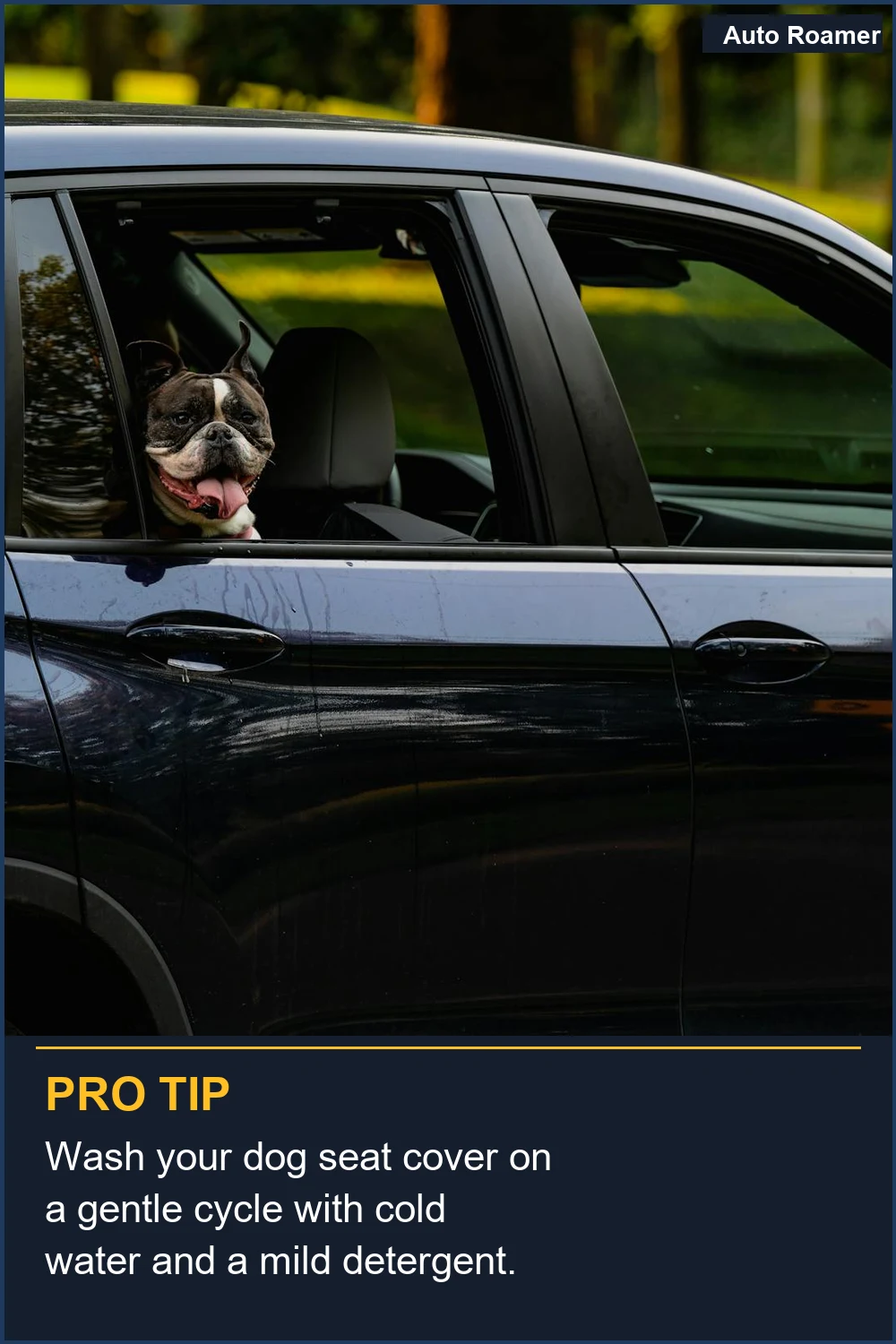 Wash your dog seat cover on a gentle cycle with cold water and a mild detergent.