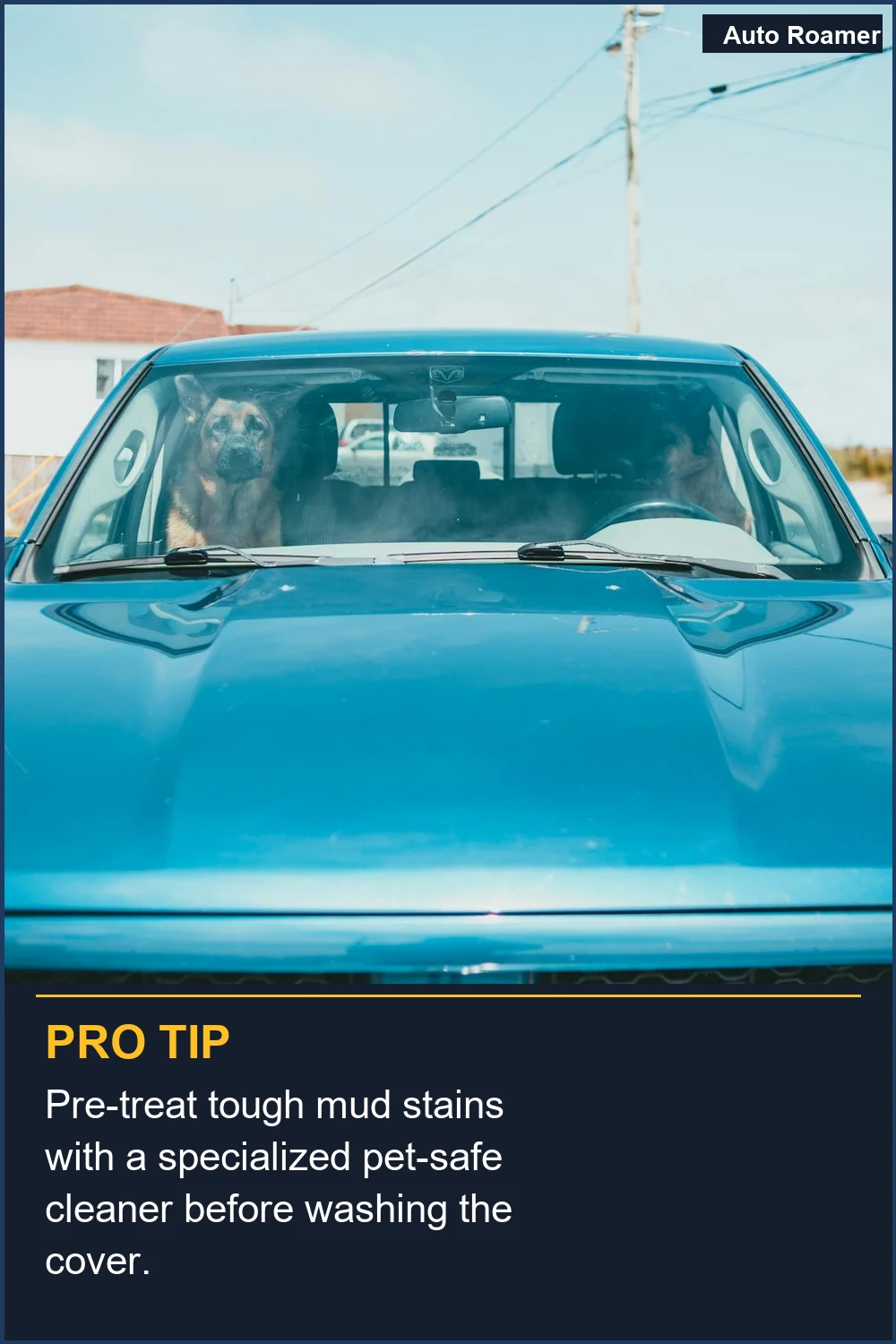 Pre-treat tough mud stains with a specialized pet-safe cleaner before washing the cover.