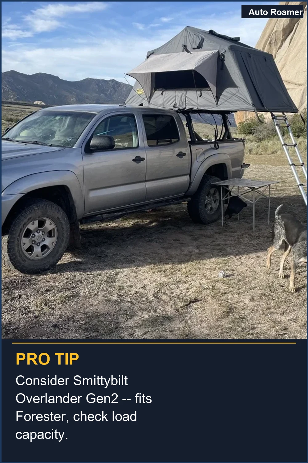 Consider Smittybilt Overlander Gen2 -- fits Forester, check load capacity.