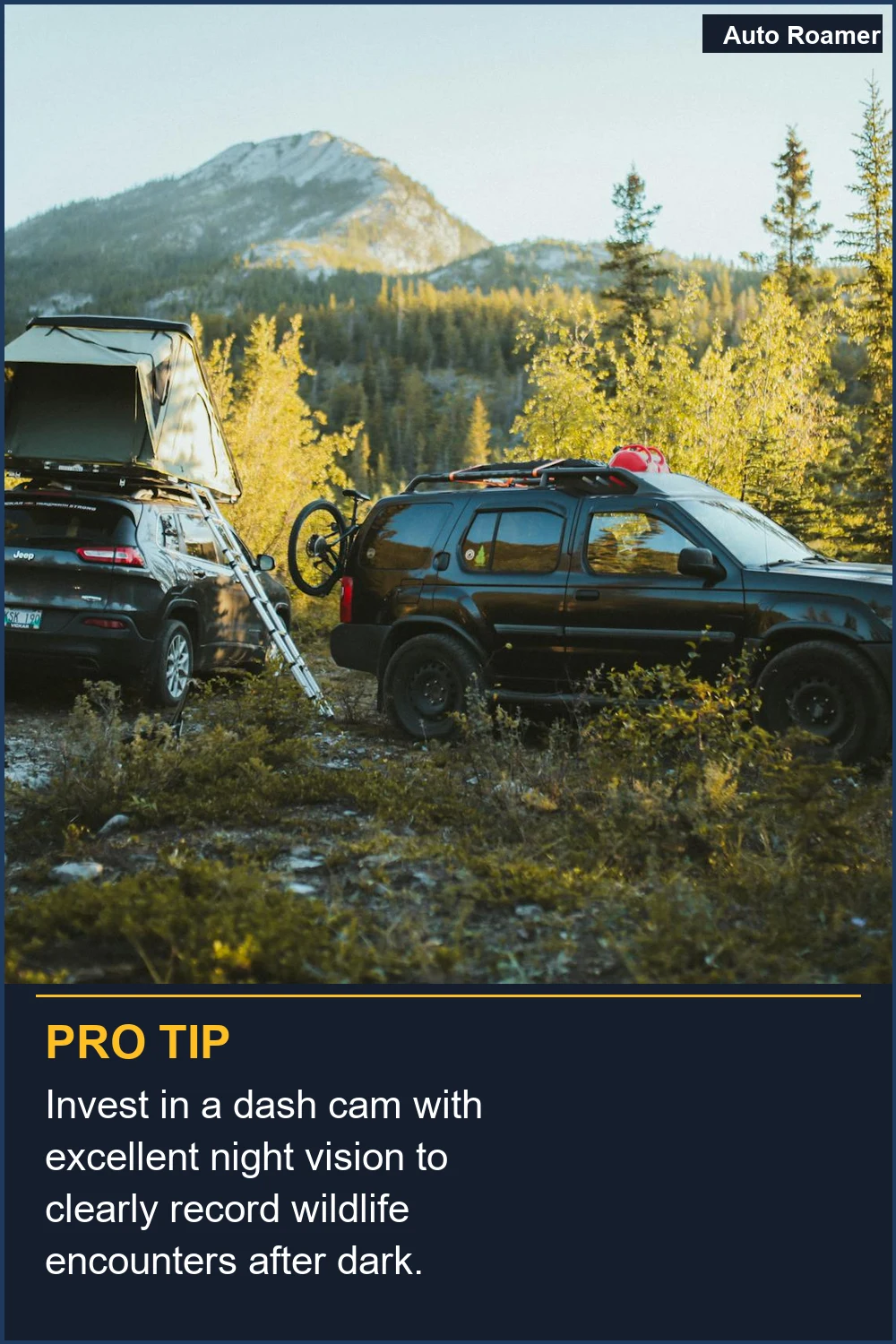 Invest in a dash cam with excellent night vision to clearly record wildlife encounters after dark.