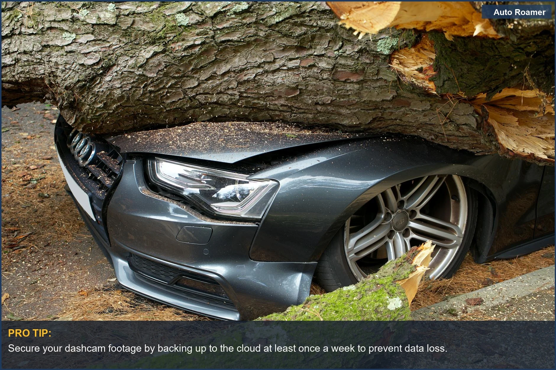 Damaged car after a tree fell, highlighting the need for reliable dashcam data storage.
