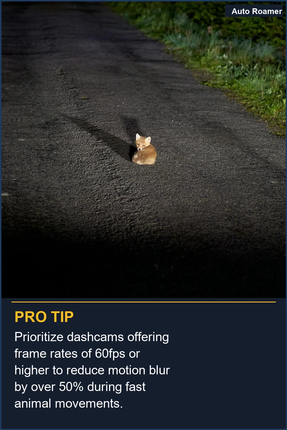 Prioritize dashcams offering frame rates of 60fps or higher to reduce motion blur by over 50% during fast animal movements.
